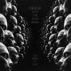 Creature With The Atom Brain : The Birds Fly Low